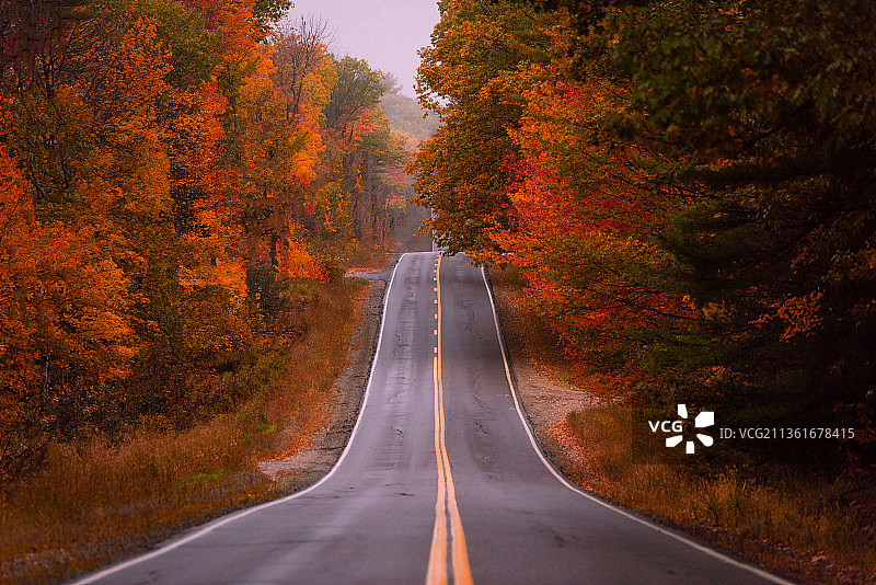 美国缅因州：秋季树木掩映下的空旷道路图片素材
