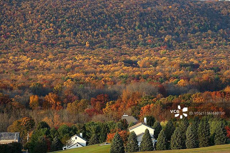 宾夕法尼亚州秋季树木建筑高角度景观，美国图片素材