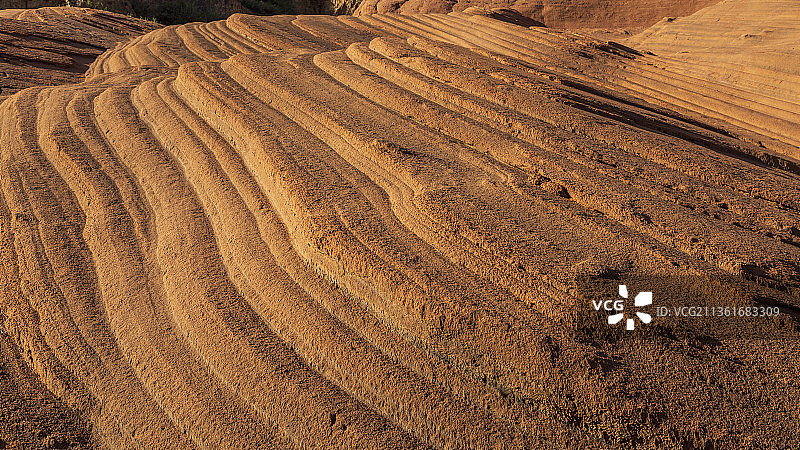 大地的肌理图片素材