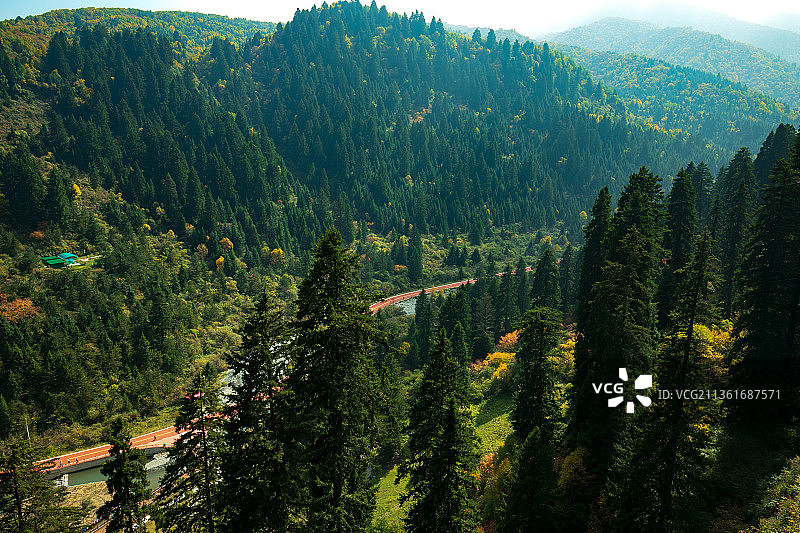 松鸣岩之秋3（临夏和政县）图片素材