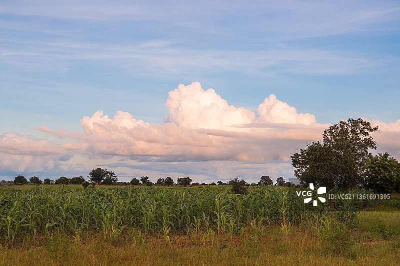 尼日利亚，阿达马瓦地区的田野风光图片素材