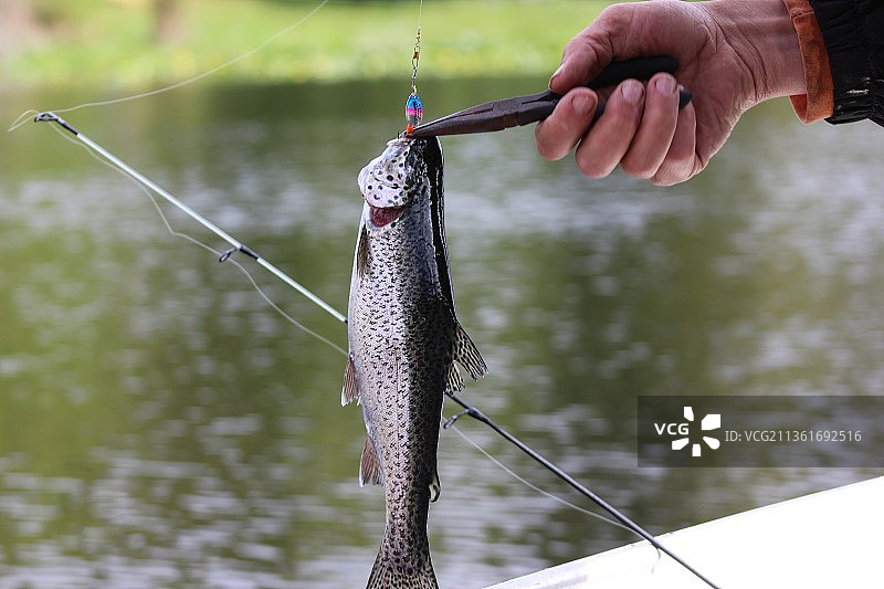 在湖中钓鱼的男子图片素材