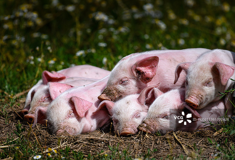 顶部的房间图片素材