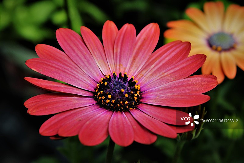 周日早晨的色彩变化图片素材