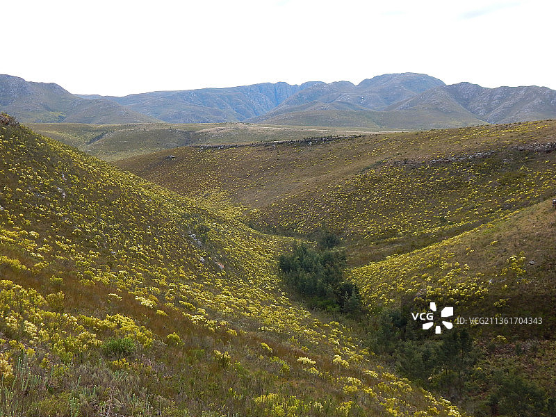 自然风光：南非埃兰兹河的风景图片素材