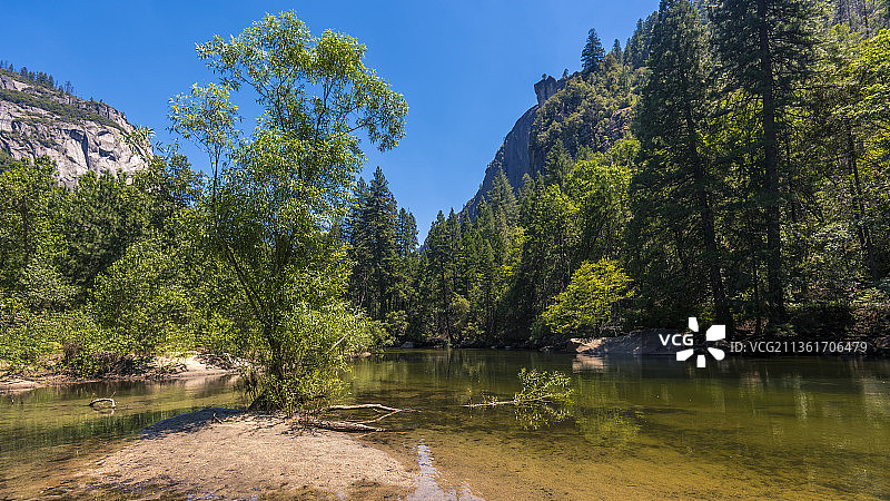 世界环境日：树木环绕的湖泊风景图片素材