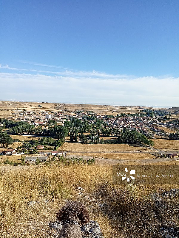 乡村风景与狗：西班牙城镇鸟瞰图图片素材