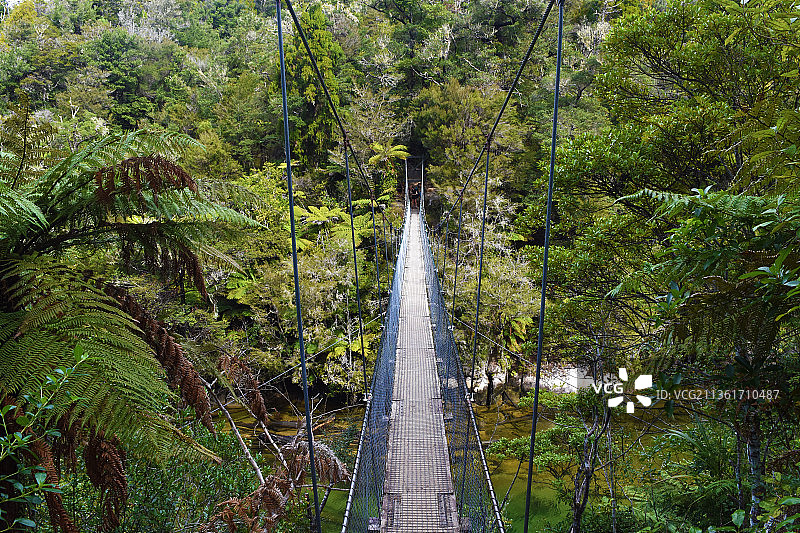 新西兰亚伯塔斯曼国家公园丛林中的过桥图片素材