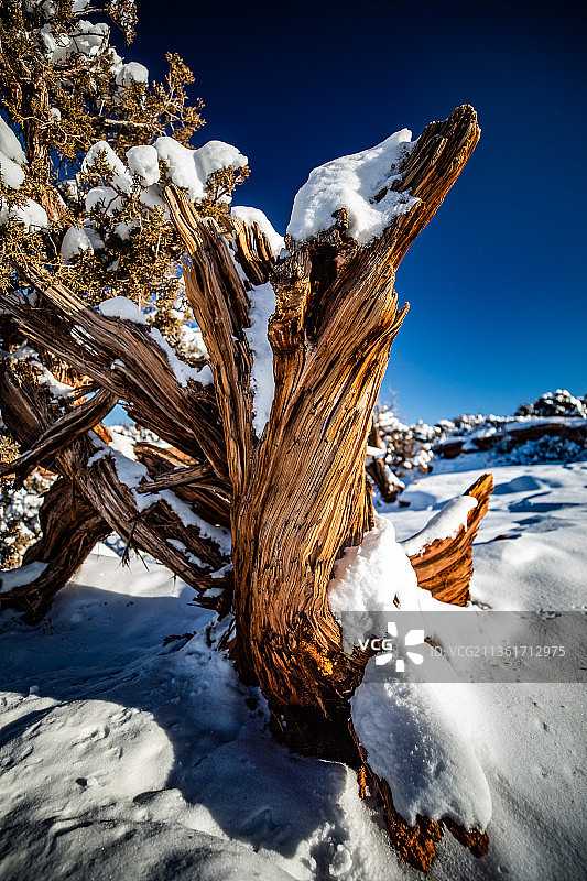 死马点州立公园雪景图片素材