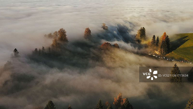 瑞士楚格的树木景观高角度视图图片素材