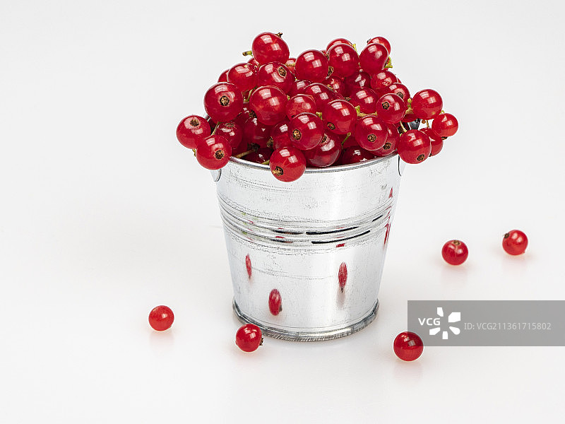 铬色迷你桶中及周围散落的成熟红色醋栗图片素材