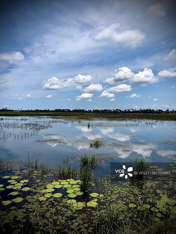 亚马逊湖的清晨，湖光天色图片素材