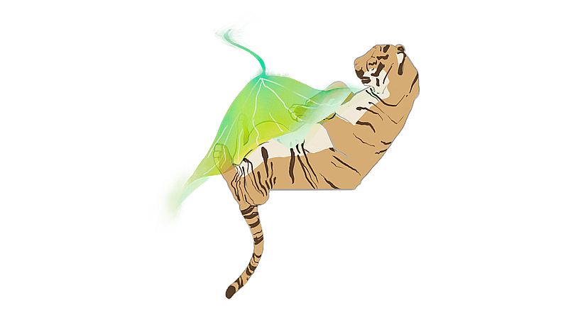 中国传统虎年荷叶池塘睡觉老虎图片素材