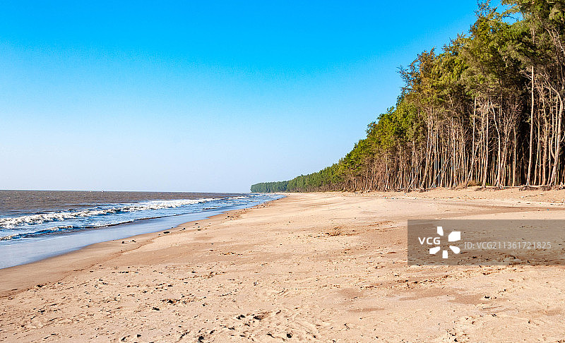 印度达曼和第乌群岛Jampore海滩的晴朗蓝天景色图片素材