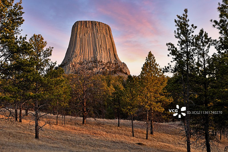 日落时分美国怀俄明州魔鬼塔的田野树木景观图片素材