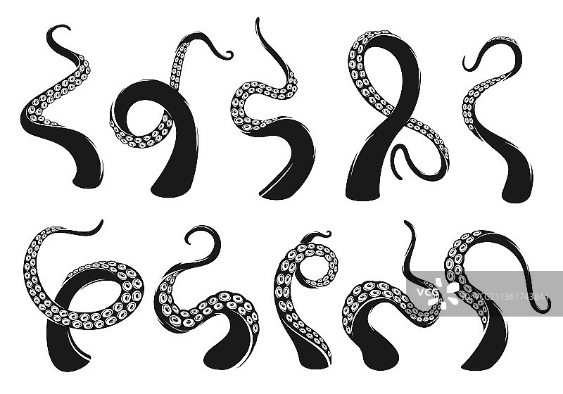 海怪和章鱼触手鱿鱼怪物纹身图片素材