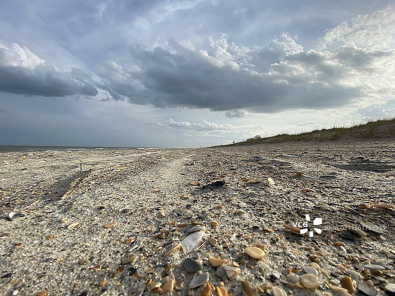 海滩贝壳，风景优美的陆地，美国北卡罗来纳州赖茨维尔海滩图片素材