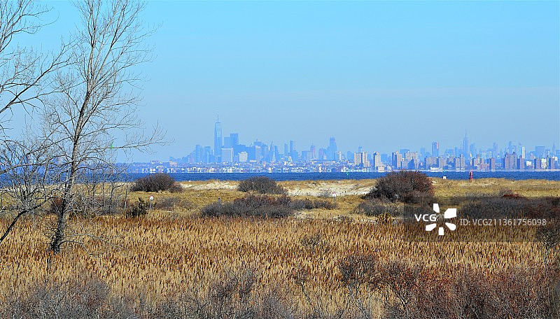 纽约天际线，蓝天下的田野风光，美国纽约图片素材
