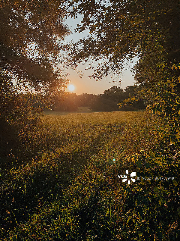 美国密歇根州夏勒沃伊日落时分的田野风光图片素材