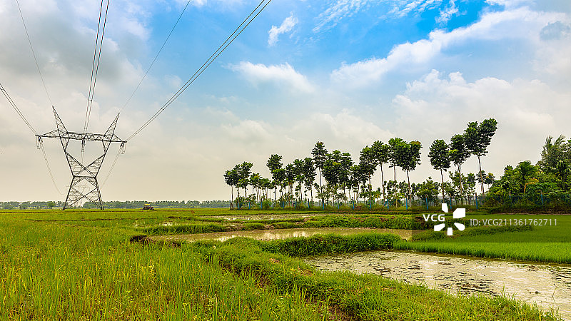 农业田地：西孟加拉邦的田园风光图片素材
