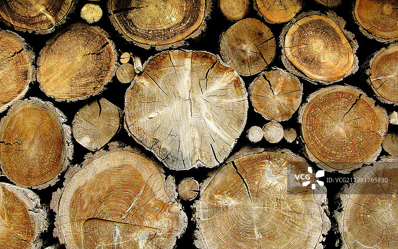 树木的纹理，原木的完整画面图片素材
