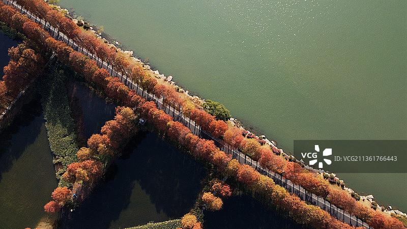 东湖的色彩图片素材