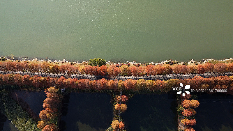 东湖绿道图片素材