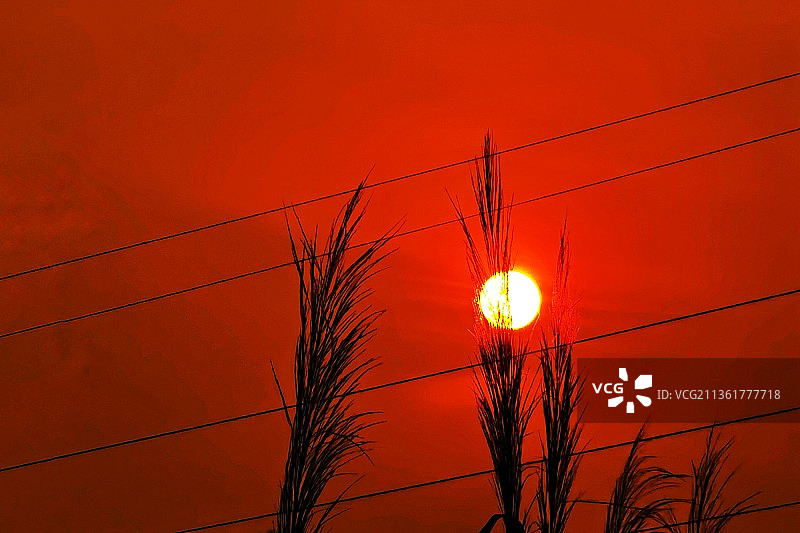 太阳音符图片素材