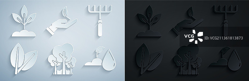 树木花园耙子树叶浇水萌芽素材图片素材