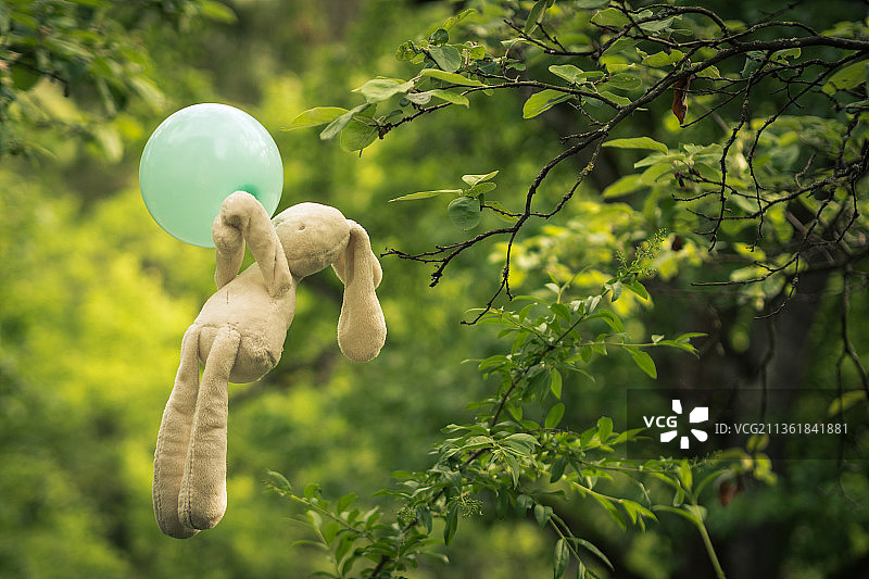 德国小问题图片素材