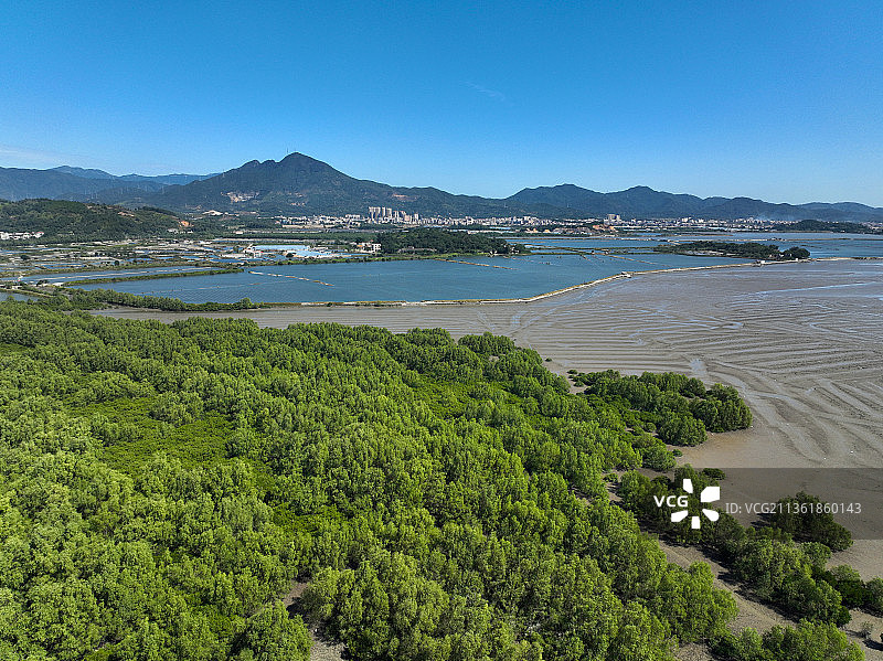 广东省惠州市惠东县稔山红树林湿地公园航拍图片素材
