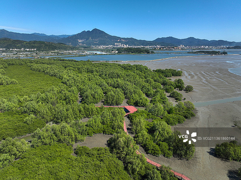 广东省惠州市惠东县稔山红树林湿地公园航拍图片素材