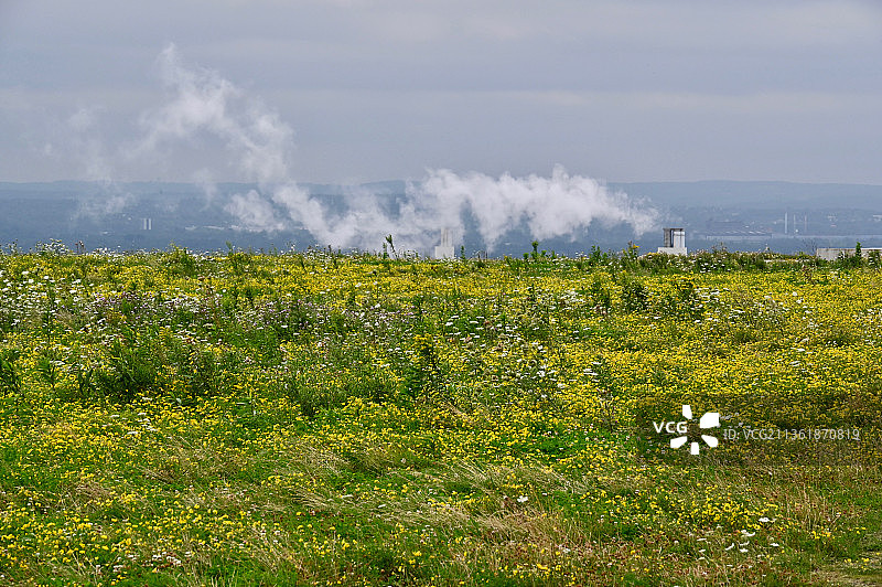 Hoheward渣堆上的植被，德国田野风光图片素材