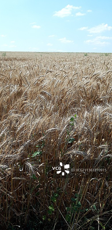 对着天空的风景图片素材