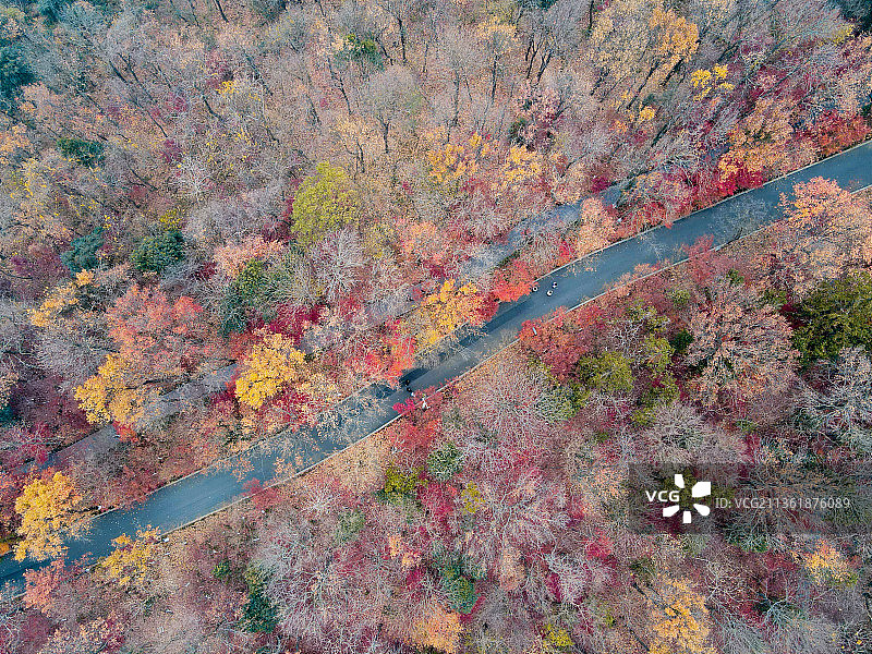 栖霞山秋季航拍图图片素材