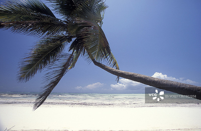 桑给巴尔BWEJUU东海岸风景，天空背景下的海景图片素材