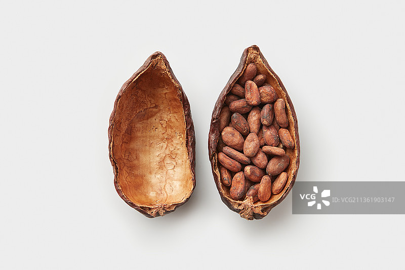 切半的可可树豆荚与种子图片素材
