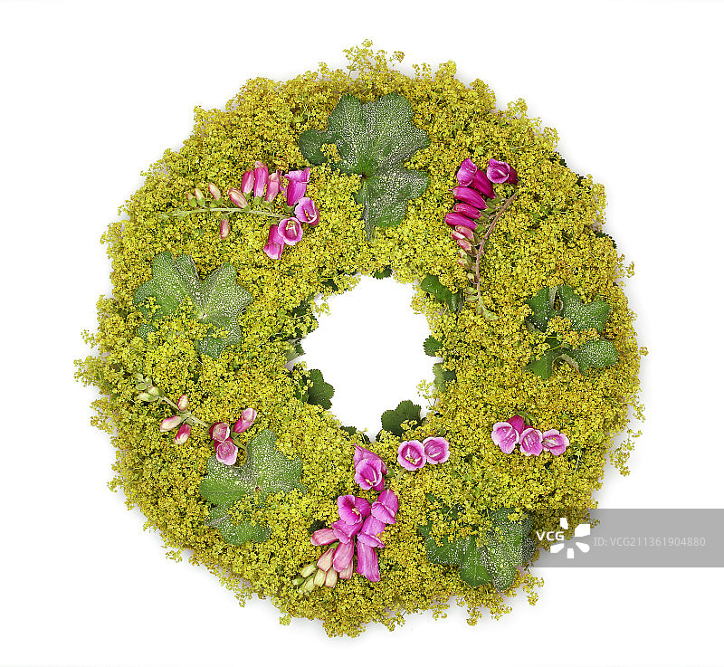 斗篷草花环图片素材