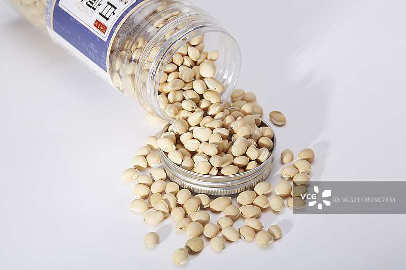 中药白扁豆图片素材