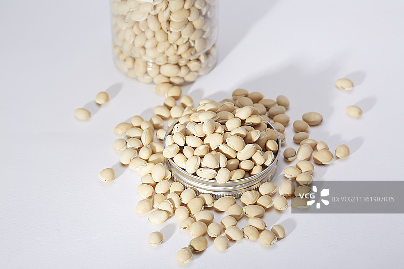 中药白扁豆图片素材