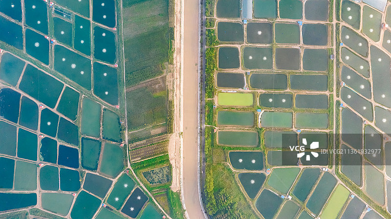 树池：航拍虾池（大地调色板）图片素材