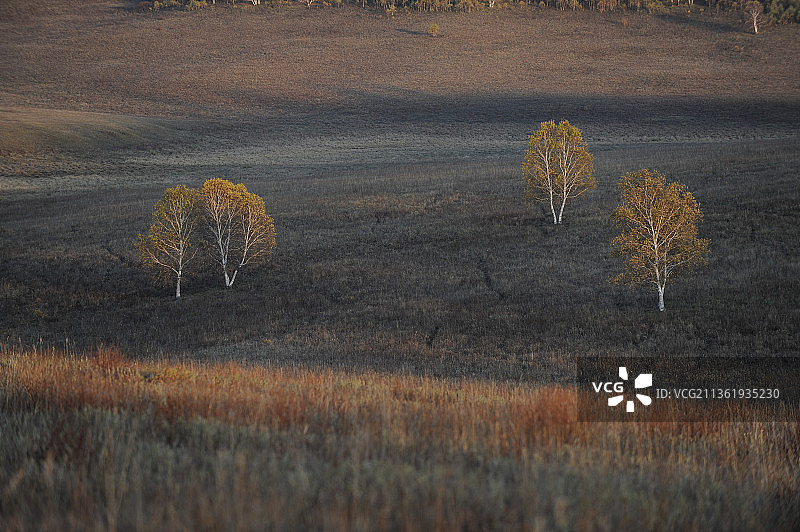 草原风光图片素材