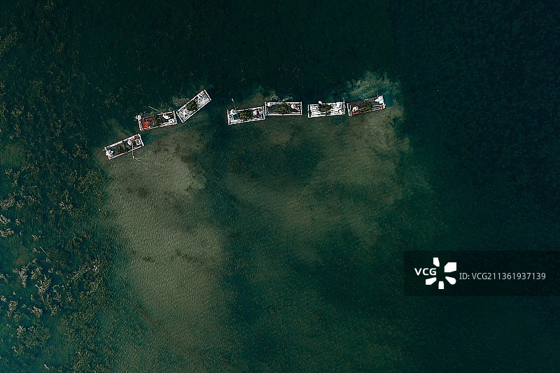 公园浮藻清理图片素材