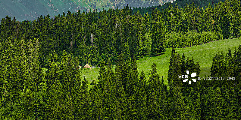 藏｜新疆伊犁琼库什台图片素材