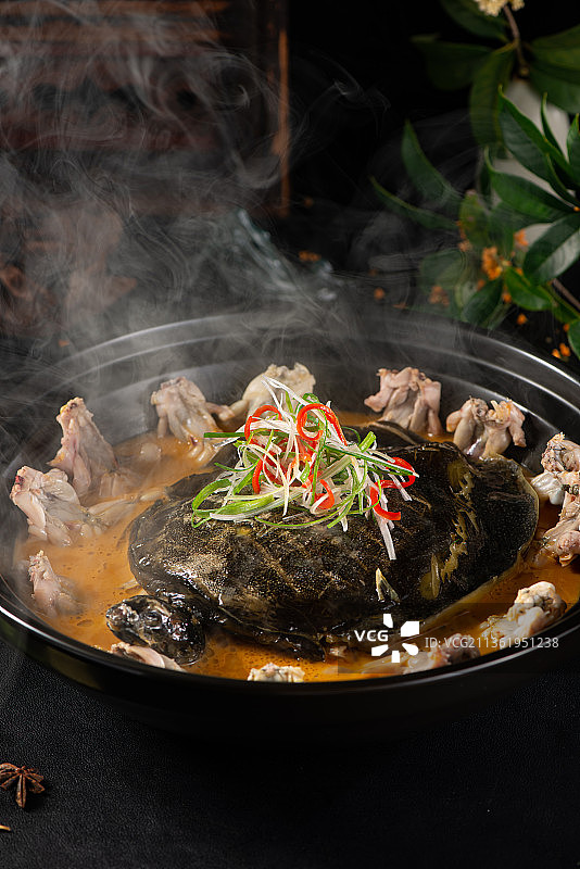 黄焖野汤甲鱼烧田鸡图片素材