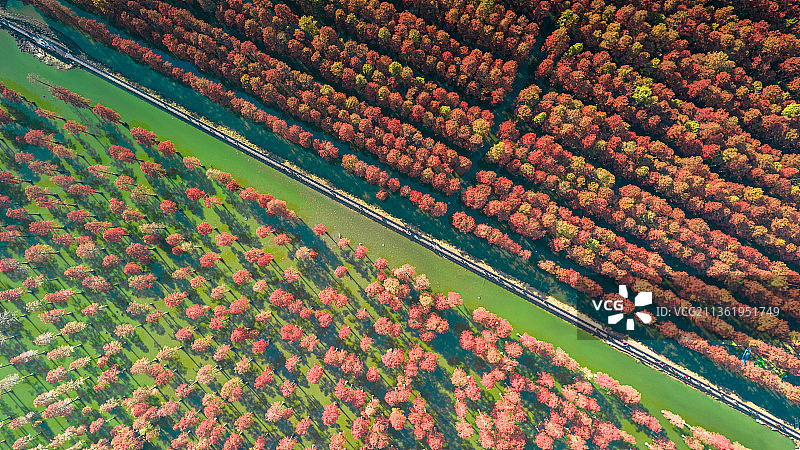涨渡湖秋色图片素材