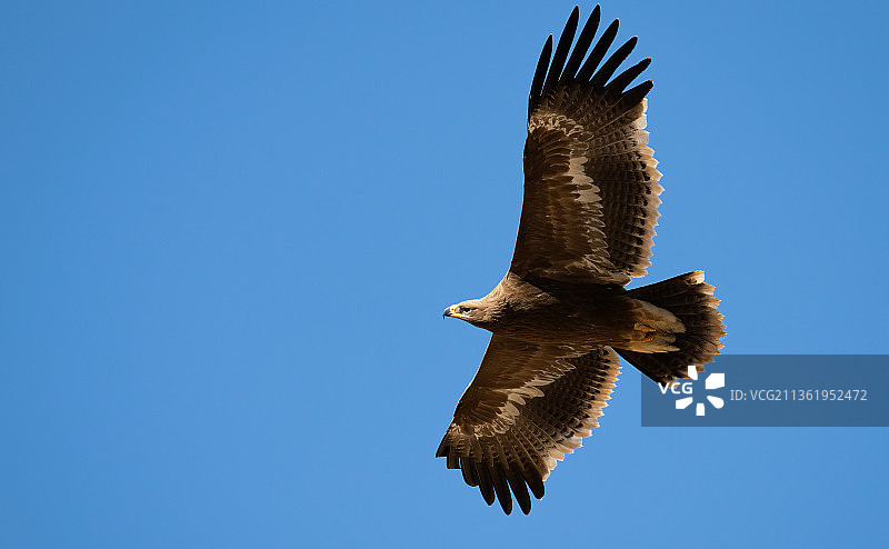迪庆自治州 草原雕图片素材