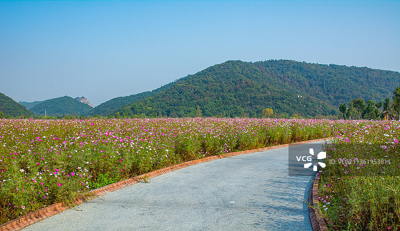 杭州铜鉴湖公园 园林景观 花海绿道 游步道 骑行道 郊区风景图片素材