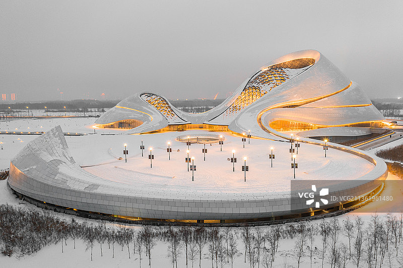 航拍视角下的冬季哈尔滨大剧院夜景图片素材