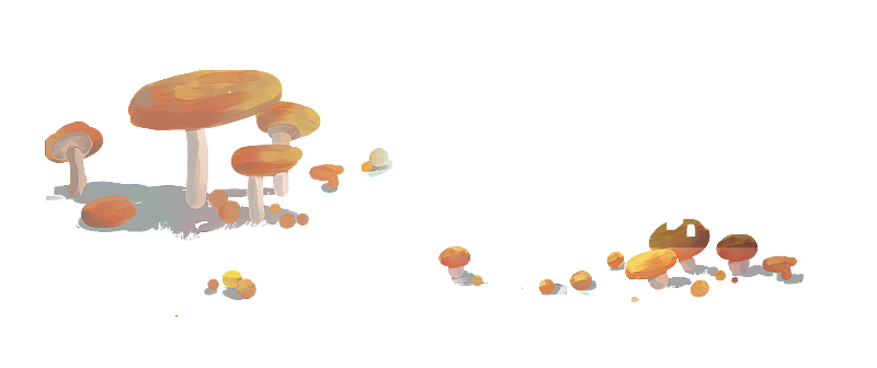 蘑菇图片素材